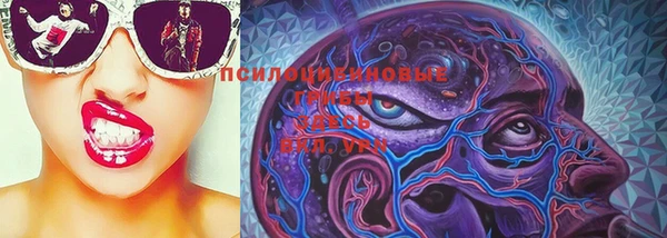 MESCALINE Каменка