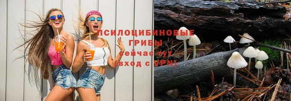 MESCALINE Каменка