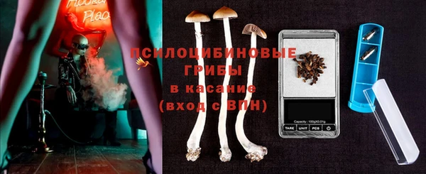 MESCALINE Каменка
