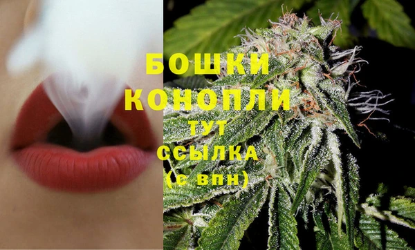 MESCALINE Каменка