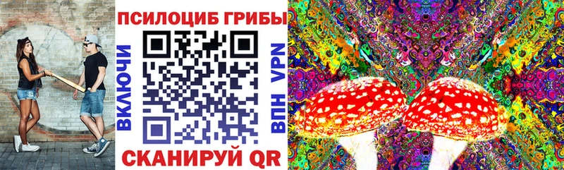 Купить  Верещагино  Галлюциногенные грибы мухоморы 